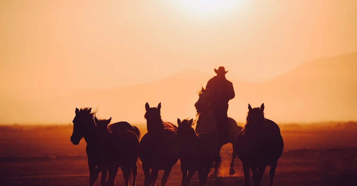 Игровое наследие Wild West Gold Megaways